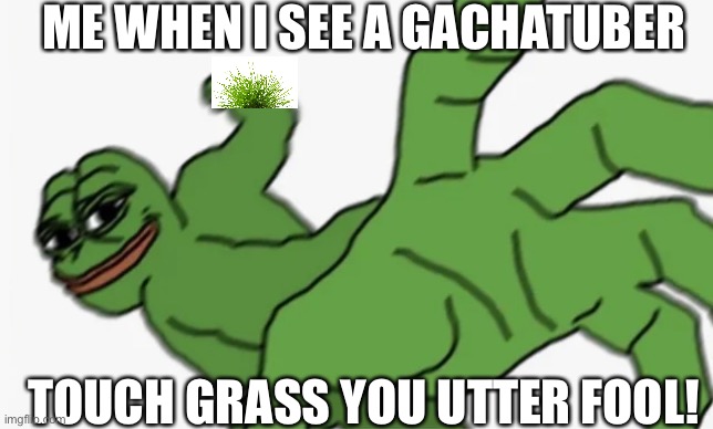 G R A S S | ME WHEN I SEE A GACHATUBER; TOUCH GRASS YOU UTTER FOOL! | image tagged in pepe punch | made w/ Imgflip meme maker