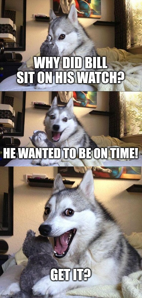 Bad Pun Dog | WHY DID BILL SIT ON HIS WATCH? HE WANTED TO BE ON TIME! GET IT? | image tagged in memes,gifs,funny,demotivationals,animals,dogs | made w/ Imgflip meme maker