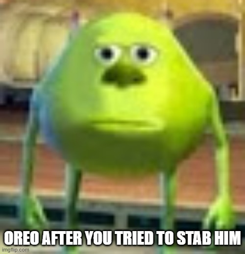 how do you shank a Vaporeon when he knows Acid Armour | OREO AFTER YOU TRIED TO STAB HIM | image tagged in sully wazowski | made w/ Imgflip meme maker