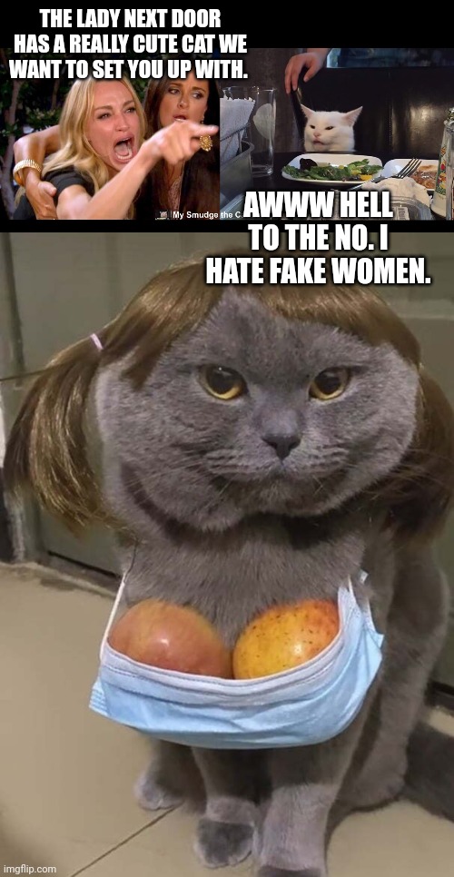 THE LADY NEXT DOOR HAS A REALLY CUTE CAT WE WANT TO SET YOU UP WITH. AWWW HELL TO THE NO. I HATE FAKE WOMEN. | image tagged in smudge the cat | made w/ Imgflip meme maker