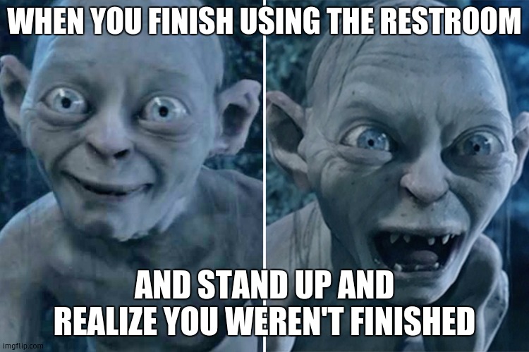 Gollum good/bad | WHEN YOU FINISH USING THE RESTROOM; AND STAND UP AND REALIZE YOU WEREN'T FINISHED | image tagged in gollum good/bad | made w/ Imgflip meme maker