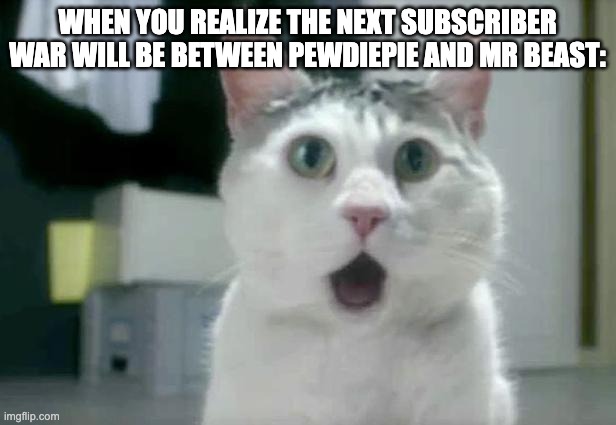 No |  WHEN YOU REALIZE THE NEXT SUBSCRIBER WAR WILL BE BETWEEN PEWDIEPIE AND MR BEAST: | image tagged in memes,omg cat | made w/ Imgflip meme maker
