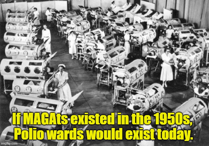 Remember These? | If MAGAts existed in the 1950s,
 Polio wards would exist today. | image tagged in polio,maga | made w/ Imgflip meme maker