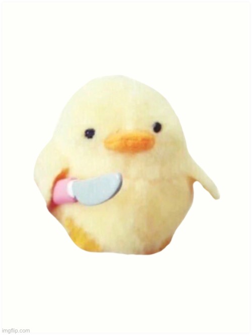 Duck Knife | image tagged in duck knife | made w/ Imgflip meme maker