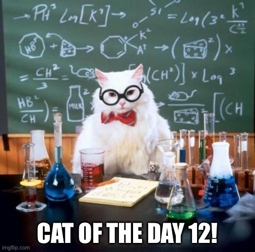 Chemistry Cat | CAT OF THE DAY 12! | image tagged in memes,chemistry cat | made w/ Imgflip meme maker