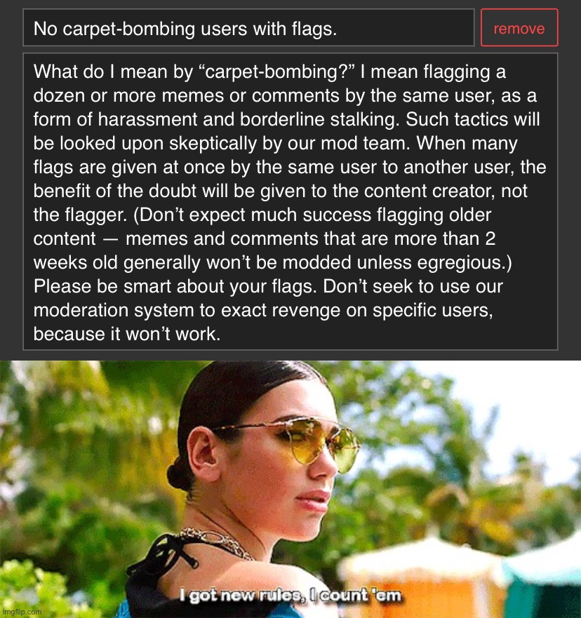 image tagged in politicstoo anti-carpet-bombing rule,dua lipa i got new rules | made w/ Imgflip meme maker