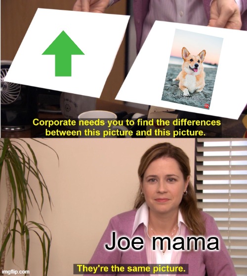 Joe mama was a updog | Joe mama | image tagged in memes,they're the same picture | made w/ Imgflip meme maker