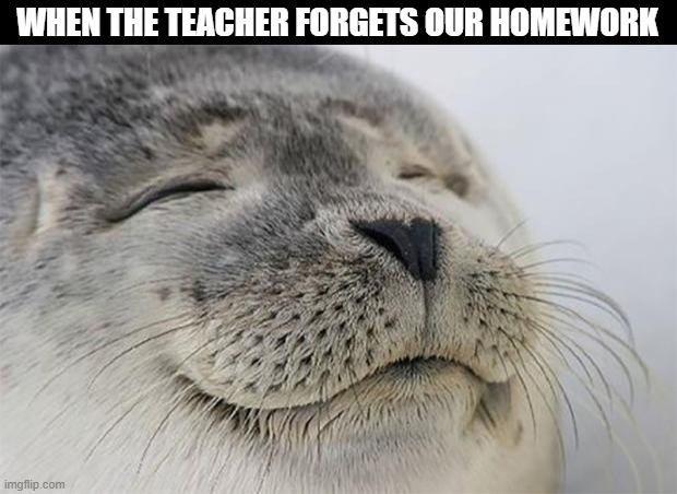 Satisfied Seal Meme | WHEN THE TEACHER FORGETS OUR HOMEWORK | image tagged in memes,satisfied seal,happy,school,homework,teachers | made w/ Imgflip meme maker