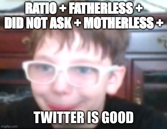 average twitter user | RATIO + FATHERLESS + DID NOT ASK + MOTHERLESS +; TWITTER IS GOOD | image tagged in memes | made w/ Imgflip meme maker