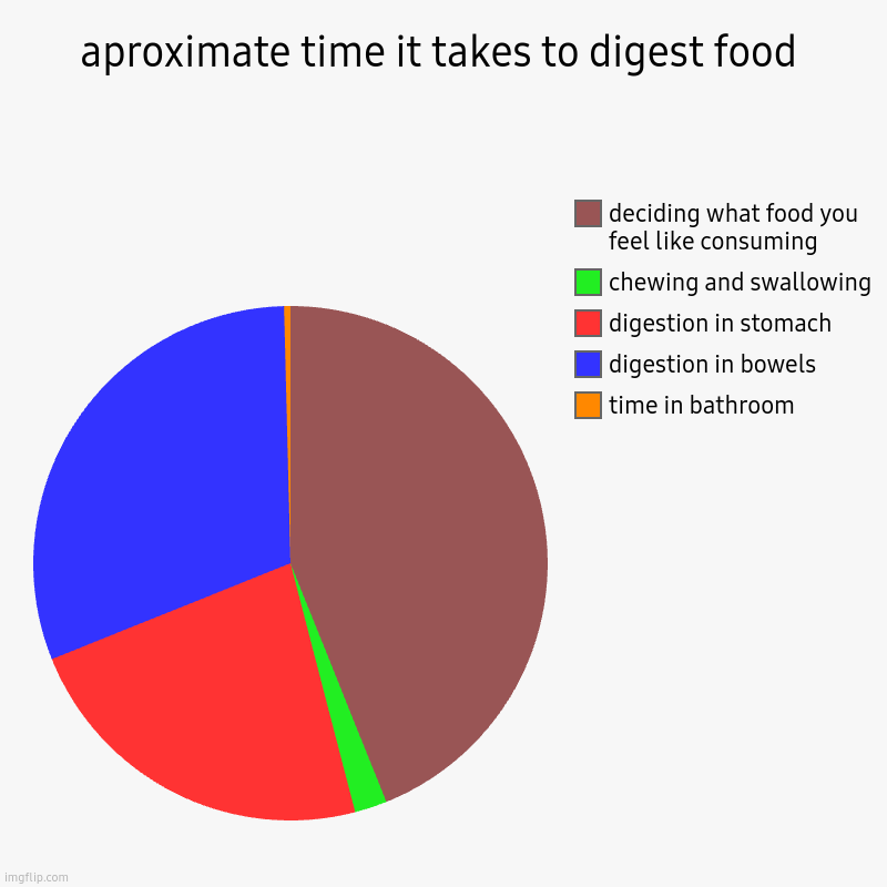 I'm glad there is no real time scale on this chart because I know (realisticly) i'd be wrong! | aproximate time it takes to digest food | time in bathroom, digestion in bowels, digestion in stomach, chewing and swallowing, deciding what | image tagged in charts,pie charts | made w/ Imgflip chart maker