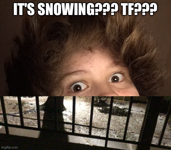 IT'S SNOWING??? TF??? | made w/ Imgflip meme maker