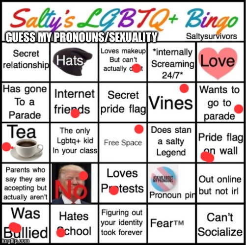 Bingo ? | GUESS MY PRONOUNS/SEXUALITY | image tagged in the pride bingo | made w/ Imgflip meme maker