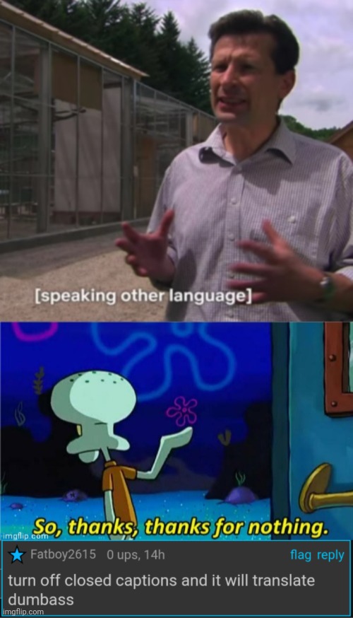 is he dumb or something | image tagged in it's part of the meme | made w/ Imgflip meme maker