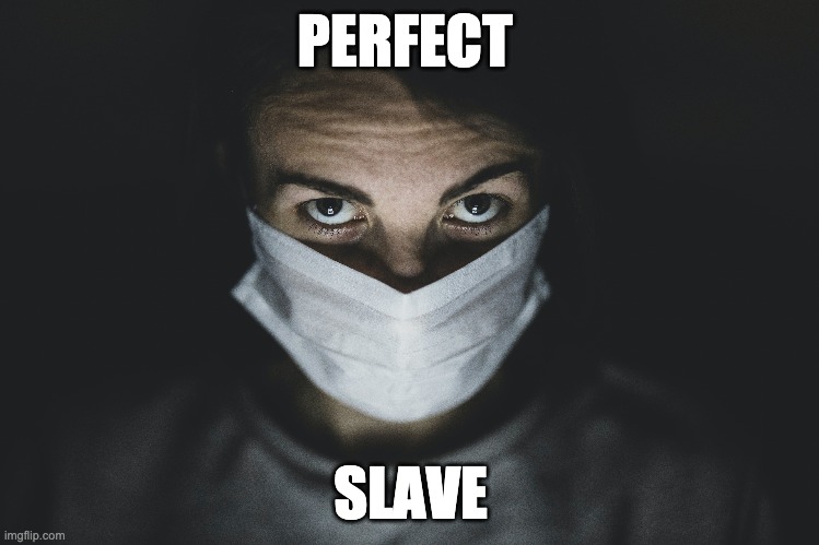 Perfect Slave | PERFECT; SLAVE | image tagged in rona,covid1984,face diaper,slave mentality | made w/ Imgflip meme maker