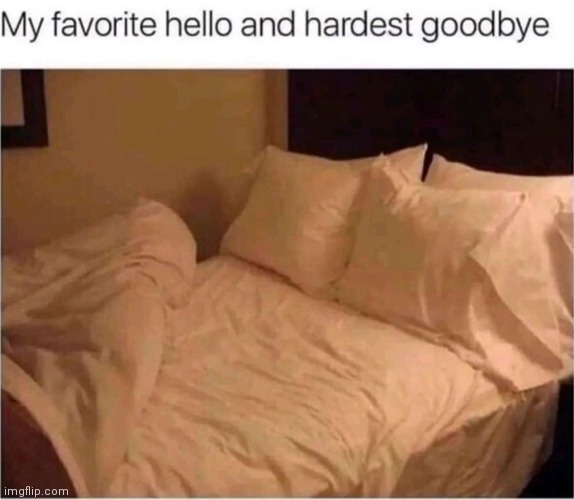 This beautiful comfy bed | image tagged in bed,hello,goodbye,favorite | made w/ Imgflip meme maker