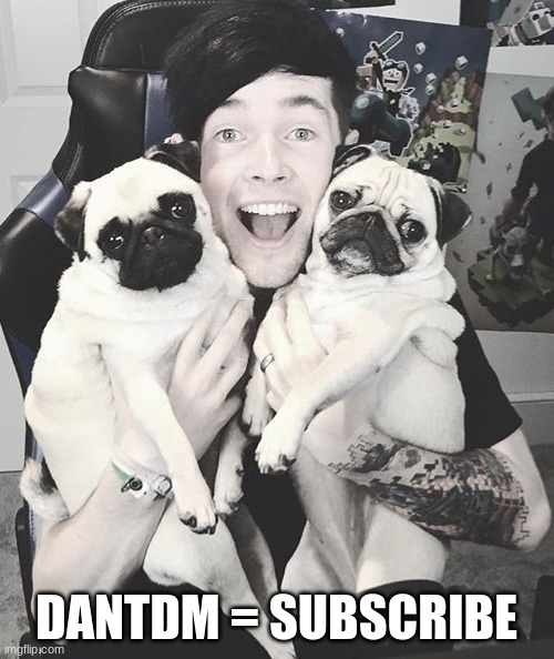 DanTDM and the pugs | DANTDM = SUBSCRIBE | image tagged in dantdm and the pugs | made w/ Imgflip meme maker