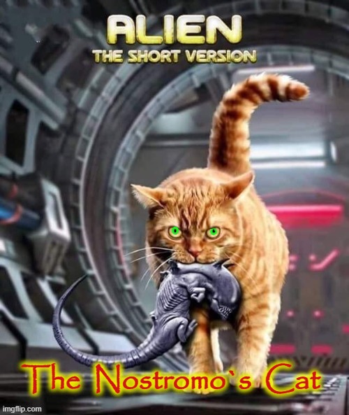 Ship`s Cat | The  Nostromo`s  Cat | image tagged in fearless | made w/ Imgflip meme maker