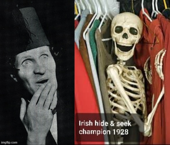 Hide and Seek Champion | image tagged in irish guy | made w/ Imgflip meme maker