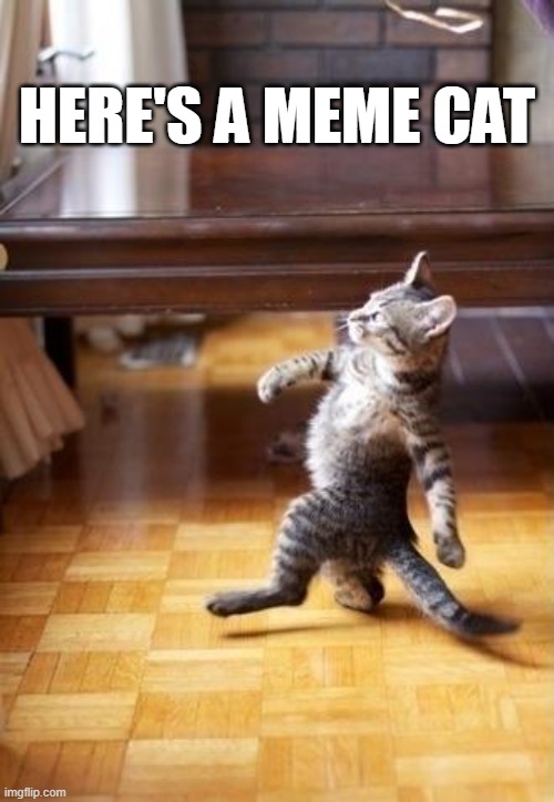 Cool Cat Stroll Meme | HERE'S A MEME CAT | image tagged in memes,cool cat stroll | made w/ Imgflip meme maker