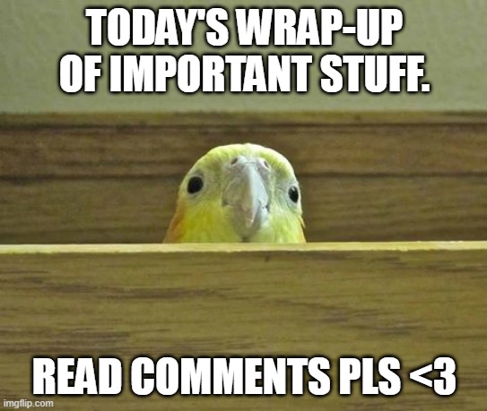 The Birb | TODAY'S WRAP-UP OF IMPORTANT STUFF. READ COMMENTS PLS <3 | image tagged in the birb | made w/ Imgflip meme maker