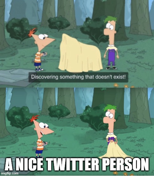 Discovering Something That Doesn’t Exist |  A NICE TWITTER PERSON | image tagged in discovering something that doesn t exist | made w/ Imgflip meme maker