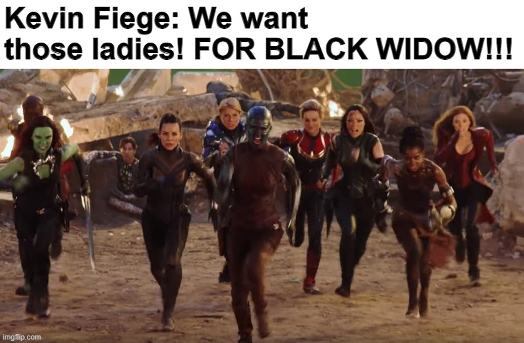 What did Kevin Fiege say during the loss of Black Widow? | Kevin Fiege: We want those ladies! FOR BLACK WIDOW!!! | image tagged in avengers female,black widow,marvel,avengers endgame | made w/ Imgflip meme maker