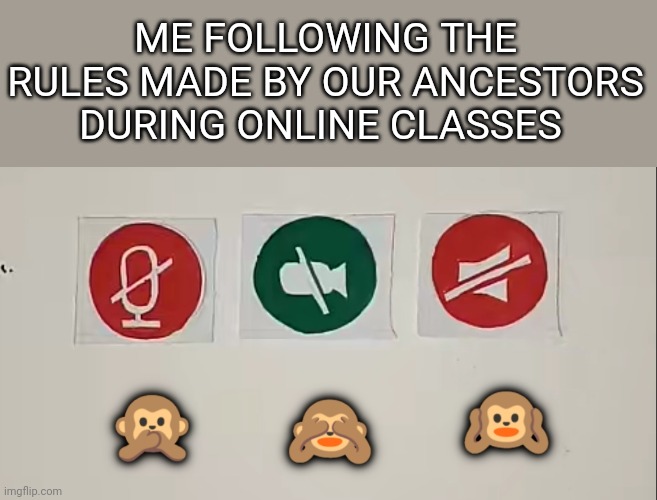 Rules are rules | ME FOLLOWING THE RULES MADE BY OUR ANCESTORS DURING ONLINE CLASSES | image tagged in online school,meme,school meme | made w/ Imgflip meme maker