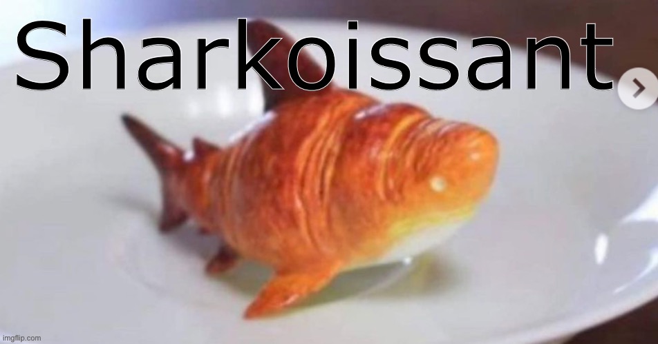 Behold, the Shark croissant | Sharkoissant | image tagged in croissant,shark | made w/ Imgflip meme maker