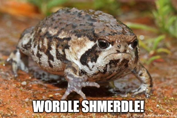 Wordle Shmerdle! |  WORDLE SHMERDLE! | image tagged in memes,grumpy toad | made w/ Imgflip meme maker
