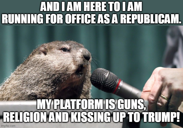 Hog for office! | AND I AM HERE TO I AM RUNNING FOR OFFICE AS A REPUBLICAM. MY PLATFORM IS GUNS, RELIGION AND KISSING UP TO TRUMP! | image tagged in conservative,republican,trump supporter,liberal,democrat,biden | made w/ Imgflip meme maker