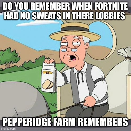 Pepperidge Farm Remembers | DO YOU REMEMBER WHEN FORTNITE HAD NO SWEATS IN THERE LOBBIES; PEPPERIDGE FARM REMEMBERS | image tagged in memes,pepperidge farm remembers | made w/ Imgflip meme maker