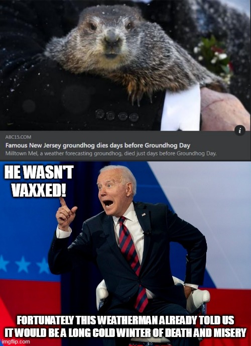 HE WASN'T VAXXED! FORTUNATELY THIS WEATHERMAN ALREADY TOLD US IT WOULD BE A LONG COLD WINTER OF DEATH AND MISERY | image tagged in joe biden has an aha moment,groundhog day,groundhog,joe biden,vaccinations,covid | made w/ Imgflip meme maker