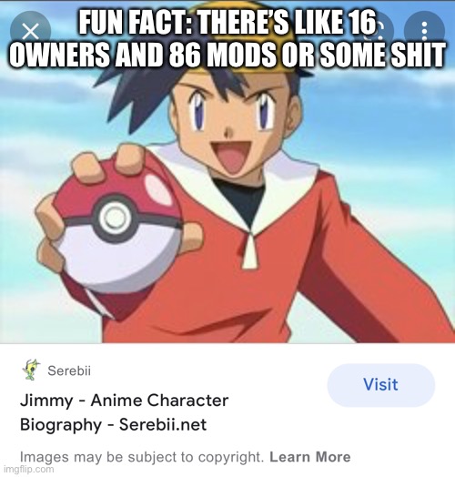 also hello chat | FUN FACT: THERE’S LIKE 16 OWNERS AND 86 MODS OR SOME SHIT | image tagged in im in pokemon | made w/ Imgflip meme maker