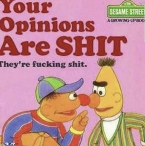 Your Opinions Are SHIT | image tagged in your opinions are shit | made w/ Imgflip meme maker