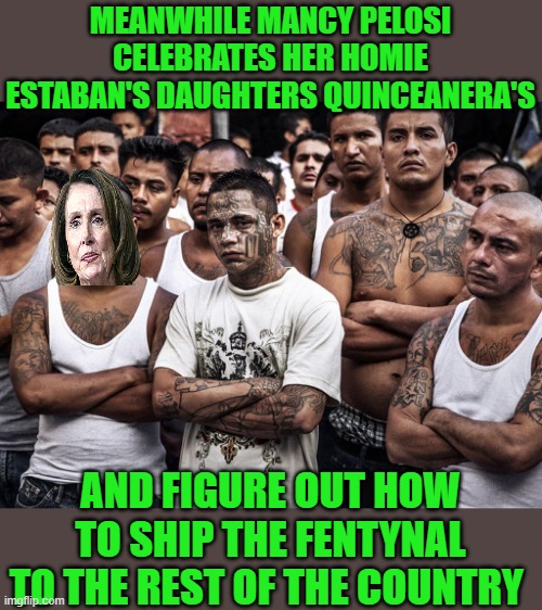 ms-13 dreamers daca | MEANWHILE MANCY PELOSI CELEBRATES HER HOMIE ESTABAN'S DAUGHTERS QUINCEANERA'S AND FIGURE OUT HOW TO SHIP THE FENTYNAL TO THE REST OF THE COU | image tagged in ms-13 dreamers daca | made w/ Imgflip meme maker