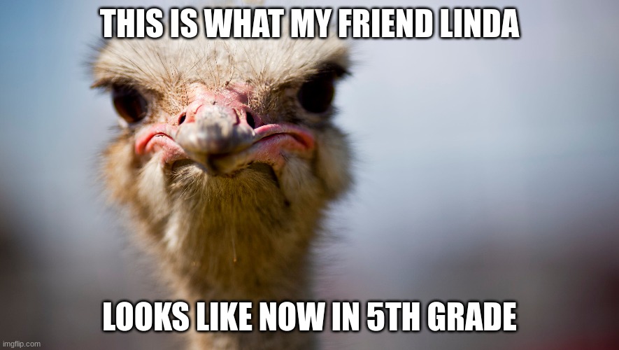 omg | THIS IS WHAT MY FRIEND LINDA; LOOKS LIKE NOW IN 5TH GRADE | image tagged in beauty | made w/ Imgflip meme maker