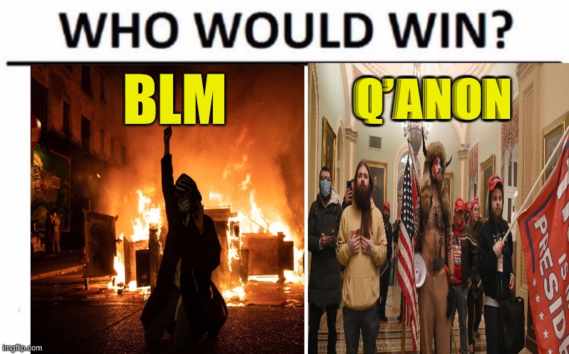 And the winner is? The oligarchy | Q’ANON; BLM | image tagged in memes,who would win | made w/ Imgflip meme maker