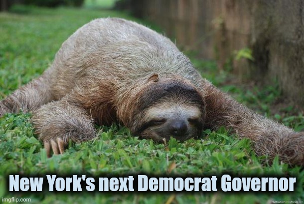 Sleeping sloth | New York's next Democrat Governor | image tagged in sleeping sloth | made w/ Imgflip meme maker
