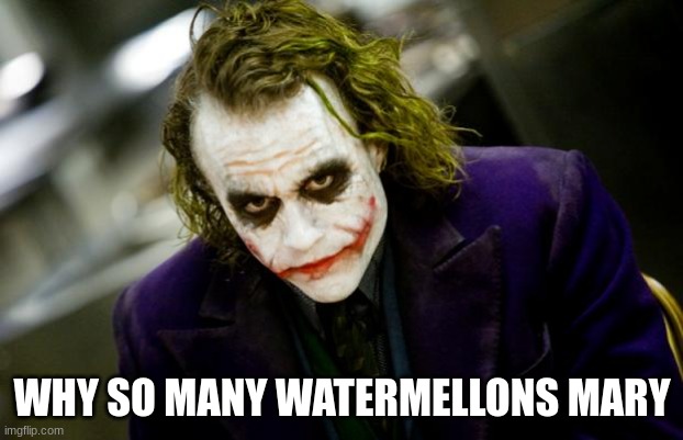 why so serious joker | WHY SO MANY WATERMELLONS MARY | image tagged in why so serious joker | made w/ Imgflip meme maker