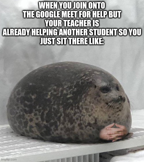 welp | WHEN YOU JOIN ONTO THE GOOGLE MEET FOR HELP BUT
YOUR TEACHER IS ALREADY HELPING ANOTHER STUDENT SO YOU
JUST SIT THERE LIKE: | image tagged in seal waiting,memes | made w/ Imgflip meme maker
