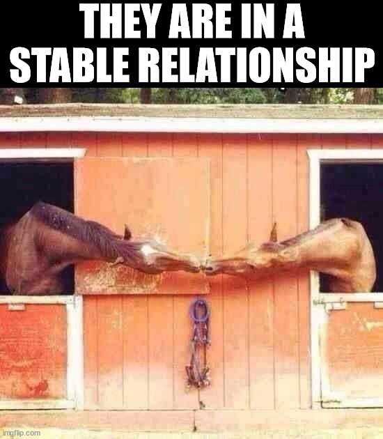 THEY ARE IN A STABLE RELATIONSHIP | image tagged in eye roll | made w/ Imgflip meme maker