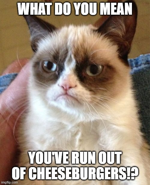 Grumpy Cat | WHAT DO YOU MEAN; YOU'VE RUN OUT OF CHEESEBURGERS!? | image tagged in memes,grumpy cat | made w/ Imgflip meme maker