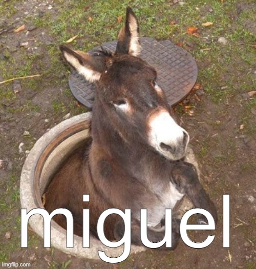miguel | miguel | image tagged in miguel,shitpost | made w/ Imgflip meme maker