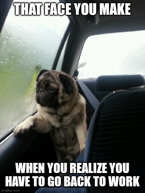 Introspective Pug |  THAT FACE YOU MAKE; WHEN YOU REALIZE YOU HAVE TO GO BACK TO WORK | image tagged in introspective pug | made w/ Imgflip meme maker