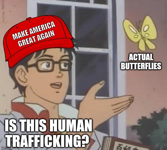 Is this trafficking? | MAKE AMERICA
GREAT AGAIN; ACTUAL BUTTERFLIES; IS THIS HUMAN TRAFFICKING? | image tagged in memes,is this a pigeon | made w/ Imgflip meme maker