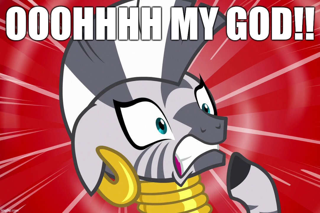 Shocked Zecora (MLP) | OOOHHHH MY GOD!! | image tagged in shocked zecora mlp | made w/ Imgflip meme maker