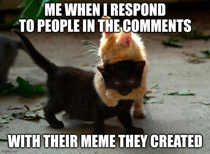 epic | ME WHEN I RESPOND TO PEOPLE IN THE COMMENTS; WITH THEIR MEME THEY CREATED | image tagged in kitten hug,legit,meme | made w/ Imgflip meme maker