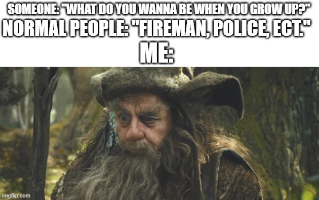 WhAt Do YoU wAnnA Be???/? |  SOMEONE: "WHAT DO YOU WANNA BE WHEN YOU GROW UP?"; NORMAL PEOPLE: "FIREMAN, POLICE, ECT."; ME: | image tagged in lotr,the lord of the rings,radagast the brown,me irl | made w/ Imgflip meme maker