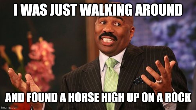 Steve Harvey Meme | I WAS JUST WALKING AROUND AND FOUND A HORSE HIGH UP ON A ROCK | image tagged in memes,steve harvey | made w/ Imgflip meme maker