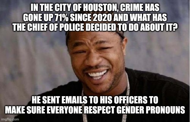 What an effing joke! | IN THE CITY OF HOUSTON, CRIME HAS GONE UP 71% SINCE 2020 AND WHAT HAS THE CHIEF OF POLICE DECIDED TO DO ABOUT IT? HE SENT EMAILS TO HIS OFFICERS TO MAKE SURE EVERYONE RESPECT GENDER PRONOUNS | image tagged in memes,yo dawg heard you | made w/ Imgflip meme maker